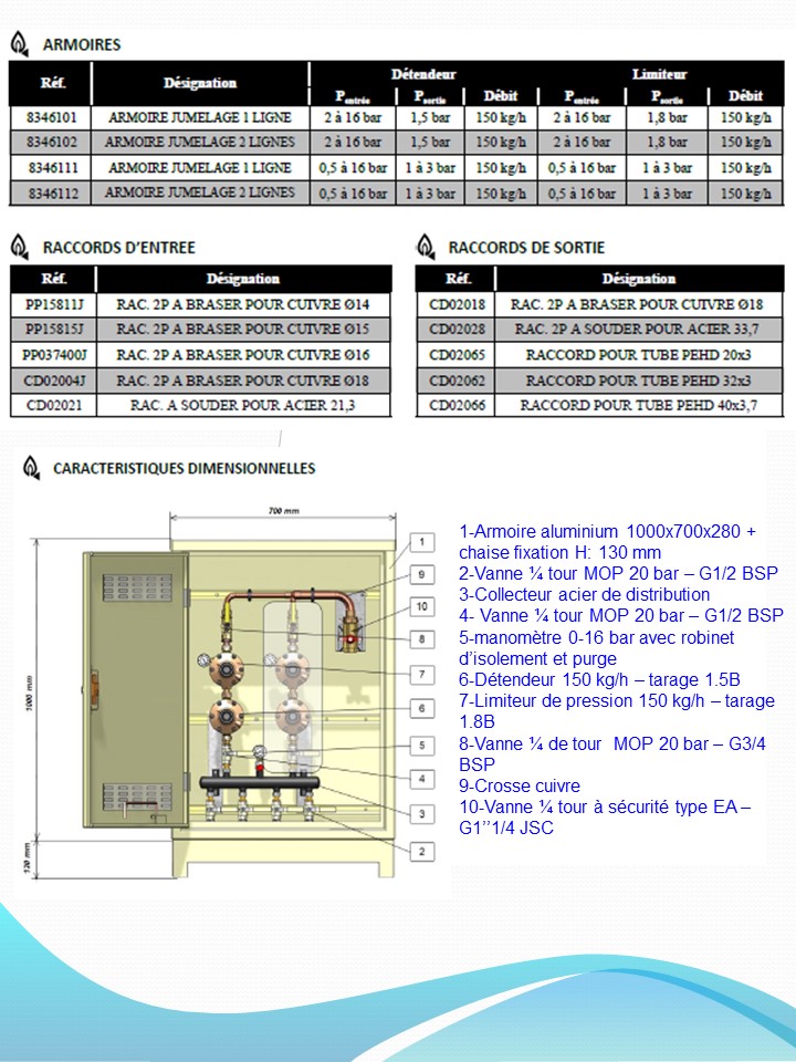 armoire de jumelage pour citerne propane - activreso 2